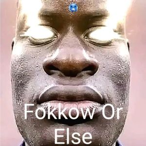 Meet your Posher, Freddy